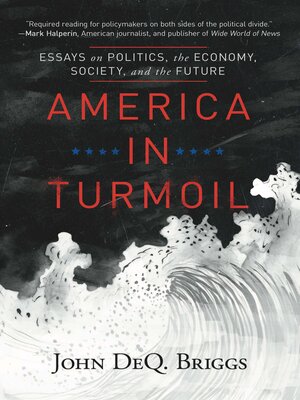 cover image of America in Turmoil